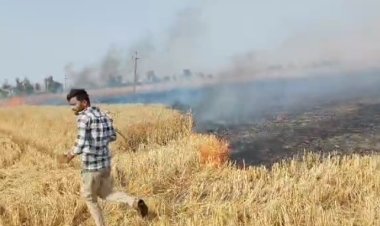 हार्वेस्टर से निकली चिंगारी बनी आफत, किसानों की महीनों की मेहनत राख