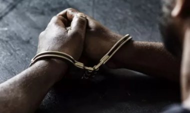 बक्सर में स्कॉर्पियो से हथियार बरामद, युवक गिरफ्तार