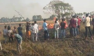 कटनी के बीच लापरवाही पड़ी भारी, तैयार फसल जलने से किसानों को बड़ा नुकसान