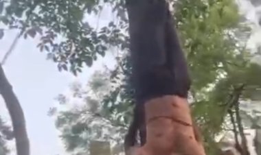 भीड़ बनी जल्लाद: चोरी के शक में युवक को पेड़ से उल्टा लटकाकर पीटा, वीडियो से खुला राज