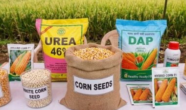 आज से शुरू होगा गरमा मूंग और मक्का बीज का वितरण, इंतजार की घड़िया समाप्त