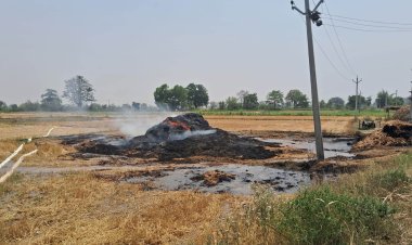 ट्रांसफार्मर से निकली चिंगारी से खेत में लगी आग, 6 बीघा पुआल जलकर राख