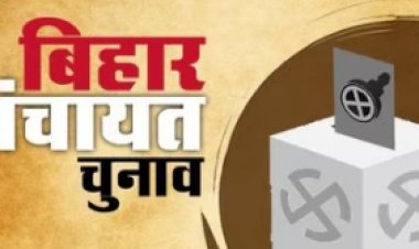पंचायत चुनाव 2026 की तैयारी तेज: रिजर्वेशन पोर्टल पर लापरवाही बर्दाश्त नहीं, नावानगर बीडीओ से जवाब-तलब