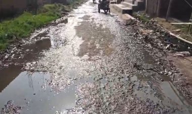 सफाई के अभाव में सड़क पर जलजमाव, ग्रामीण परेशान