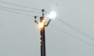 हाई वोल्टेज तार की चिंगारी से महुआ के पेड़ में लगी आग __ फायर टीम की तत्परता से टला बड़ा हादसा