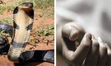 बगीचे में काम के दौरान सर्पदंश, अस्पताल पहुंचते-पहुंचते थम गई सांस