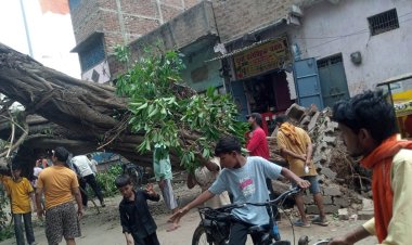 आंधी-पानी का डुमरांव में पड़ा व्यापक असर, कई जगहों पर पेड़ गिरने से ठप रहा परिचालन