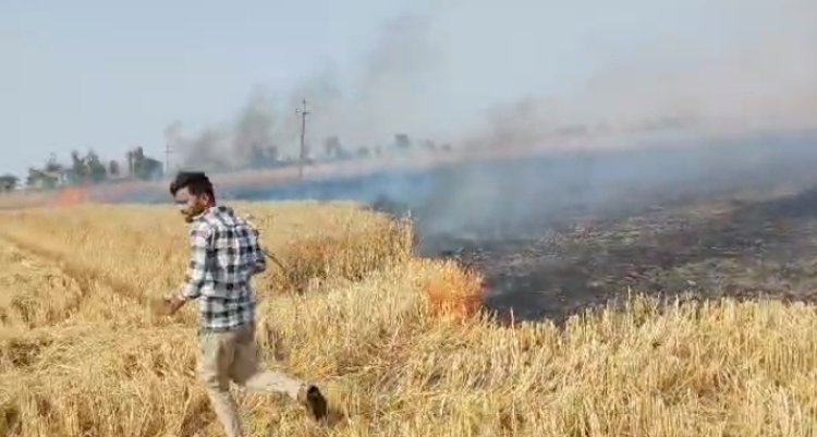 हार्वेस्टर से निकली चिंगारी बनी आफत, किसानों की महीनों की मेहनत राख