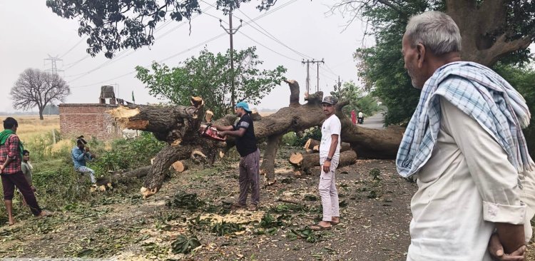 तेज आंधी-तूफान से सड़क पर गिरा पेड़, आवागमन बाधित