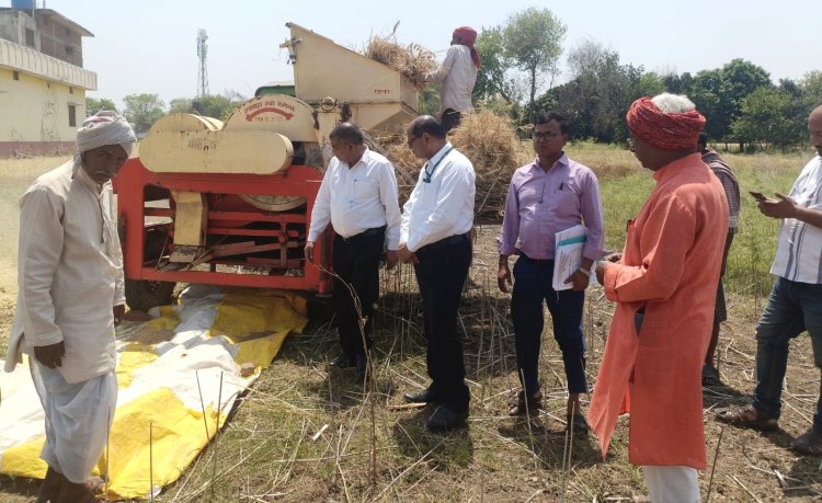 बक्सर में गेहूं कटनी प्रयोग का निरीक्षण, 36.82 क्विंटल प्रति हेक्टेयर उपज का अनुमान