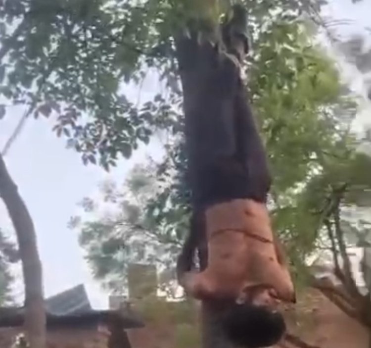 भीड़ बनी जल्लाद: चोरी के शक में युवक को पेड़ से उल्टा लटकाकर पीटा, वीडियो से खुला राज