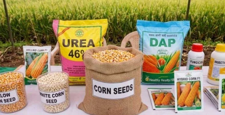 आज से शुरू होगा गरमा मूंग और मक्का बीज का वितरण, इंतजार की घड़िया समाप्त