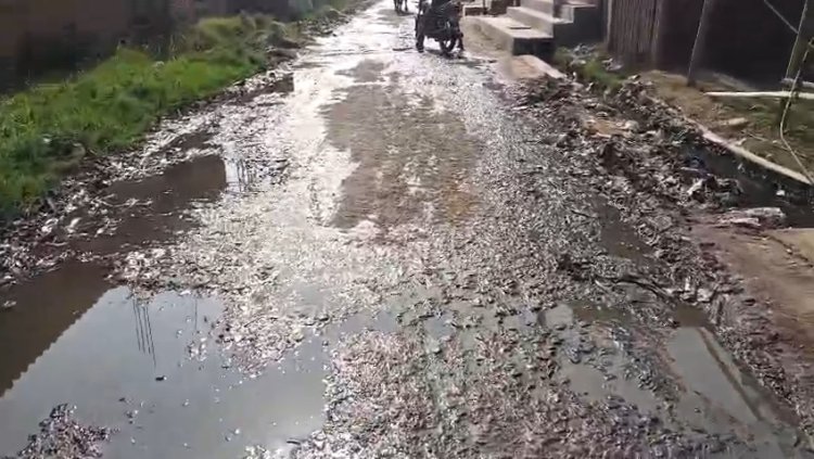 सफाई के अभाव में सड़क पर जलजमाव, ग्रामीण परेशान