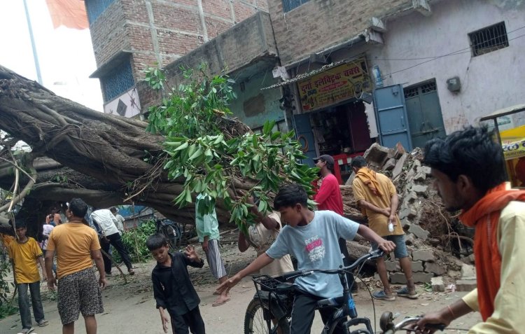 आंधी-पानी का डुमरांव में पड़ा व्यापक असर, कई जगहों पर पेड़ गिरने से ठप रहा परिचालन