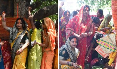 वट वृक्ष के फेरे, अखंड सौभाग्य की कामना: सुहागिनों ने श्रद्धा से किया वट सावित्री व्रत
