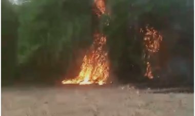 अगलगी में बांस का कोठ, पौधे व झोपड़ी जलकर राख