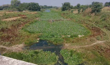 सूखती धारा, बढ़ता संकट: धर्मावती नदी की बदहाली ने छीनी गांवों की सांस