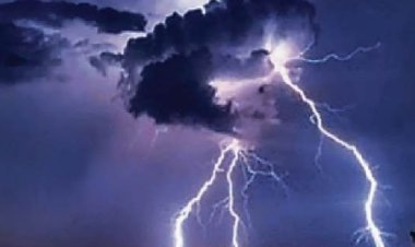वज्रपात की चपेट में आई दुधारू भैंस, पशुपालक को भारी नुकसान