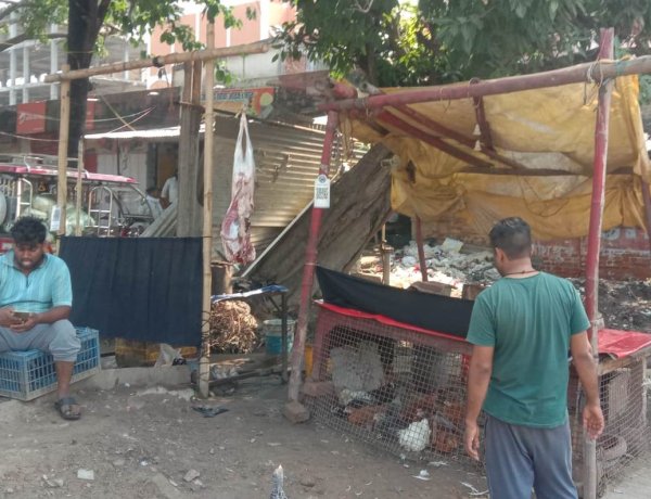 खुले में कटे मांस की बिक्री जारी, नगर परिषद की कार्रवाई ठंडे बस्ते में