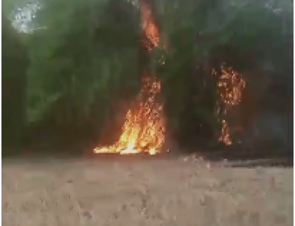 अगलगी में बांस का कोठ, पौधे व झोपड़ी जलकर राख