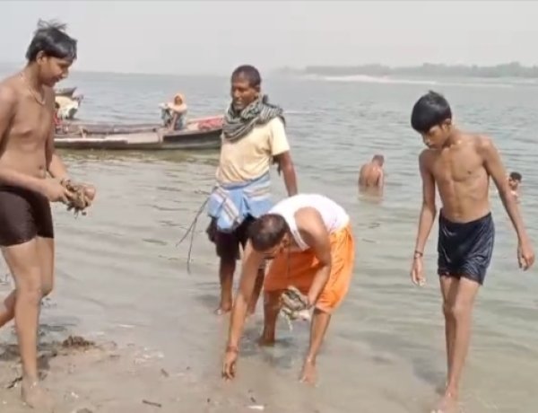 335वें रविवार भी जारी रहा गंगा सफाई अभियान