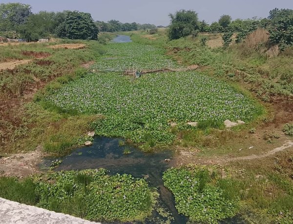 सूखती धारा, बढ़ता संकट: धर्मावती नदी की बदहाली ने छीनी गांवों की सांस