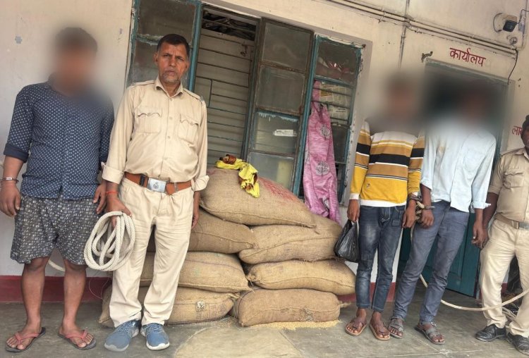 कोरानसराय पुलिस ने 24 घंटे में किया गेहूं चोरी का उद्भेदन, चोरों से लेकर खरीदार तक सलाखों के पीछे