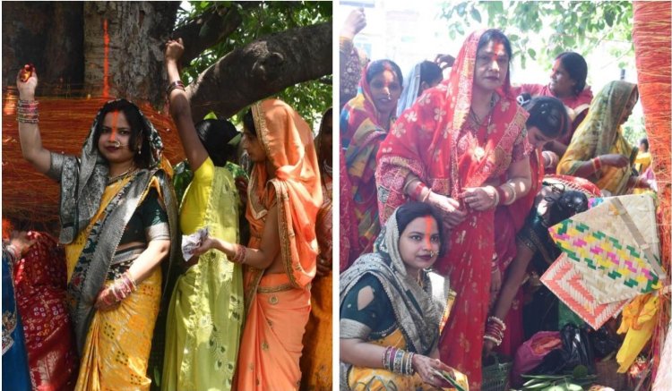 वट वृक्ष के फेरे, अखंड सौभाग्य की कामना: सुहागिनों ने श्रद्धा से किया वट सावित्री व्रत