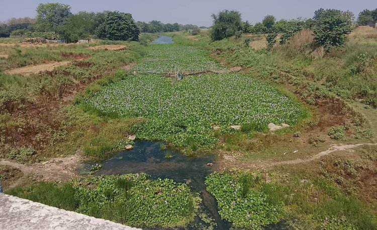 सूखती धारा, बढ़ता संकट: धर्मावती नदी की बदहाली ने छीनी गांवों की सांस