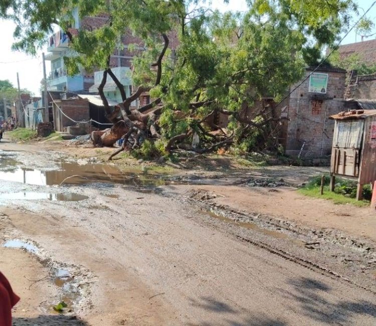 आंधी-बारिश से कई जगह बिजली व्यवस्था ठप, शिवपुर में टूटे पांच पोल