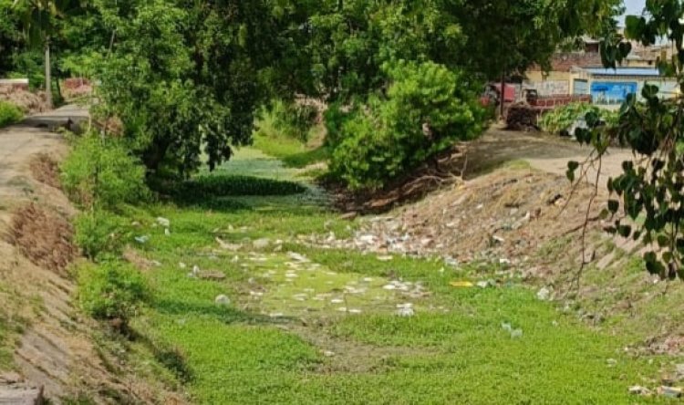 सिंचाई संकट से खरीफ की तैयारी प्रभावित, समय पर पानी नहीं मिलने से किसानों की बढ़ी चिंता