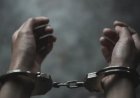 टॉवर ‘चोरी’ का बड़ा खुलासा: जमीन मालिक गिरफ्तार, मुख्य सौदागर फरार