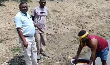 नीलगाय बनी किसानों की नई सहयोगी, मल से बढ़ेगा मछली उत्पादन