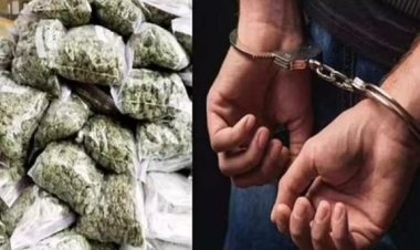 यूपी-बिहार सीमा पर गांजा तस्करी की खेप पकड़ी गई, पुलिस के जाल में फंसा तस्कर