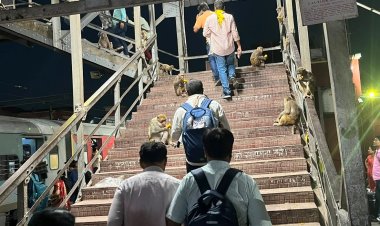 बक्सर स्टेशन पर बंदरों का कब्जा, यात्री बेहाल; प्रशासन की चुप्पी पर उठे सवाल