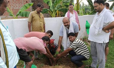 एक पेड़ मां के नाम अभियान के तहत केसठ पंचायत में हुआ पौधरोपण