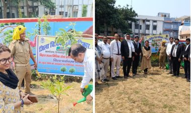 विश्व पर्यावरण दिवस पर न्यायालय परिसर में हरियाली का संकल्प