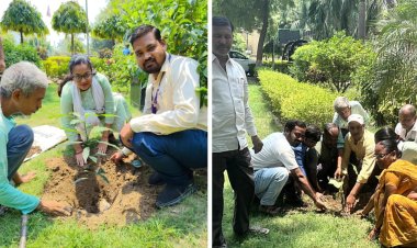 विश्व पर्यावरण दिवस पर सीताराम उपाध्याय संग्रहालय में पौधरोपण, हरित भविष्य का लिया संकल्प