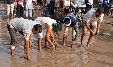 स्टेशन रोड की बदहाली पर फूटा जनाक्रोश, धान रोपकर किया अनोखा विरोध प्रदर्शन