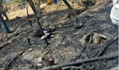 झोपड़ी में लगी आग से किसान को भारी नुकसान, एक गाय की मौत; मुआवजे की मांग तेज