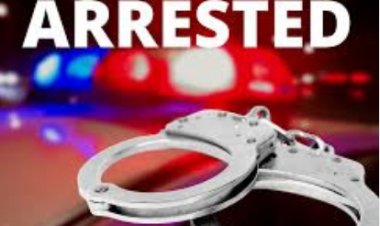 स्कूल में सेंध, 12 घंटे में चोर बेनकाब: सीसीटीवी की नजर से पुलिस पहुंची गिरोह तक, चार गिरफ्तार