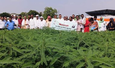 प्राकृतिक खेती से मिट्टी और सेहत दोनों सुरक्षित: विशेषज्ञ