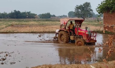 मानसून की दस्तक के साथ धान की नर्सरी की तैयारी में जुटे किसान