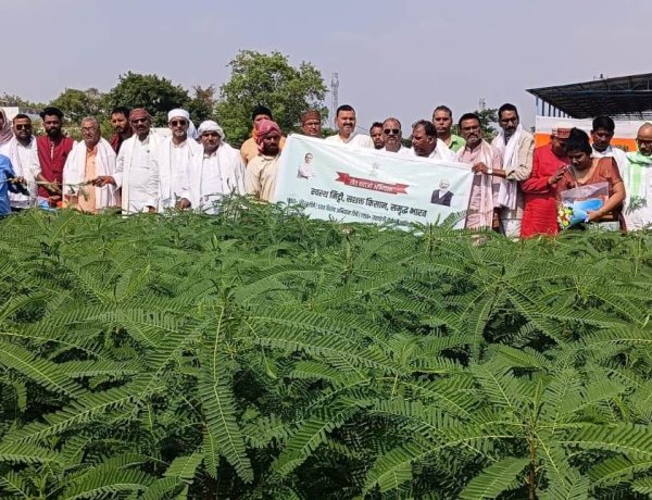 प्राकृतिक खेती से मिट्टी और सेहत दोनों सुरक्षित: विशेषज्ञ