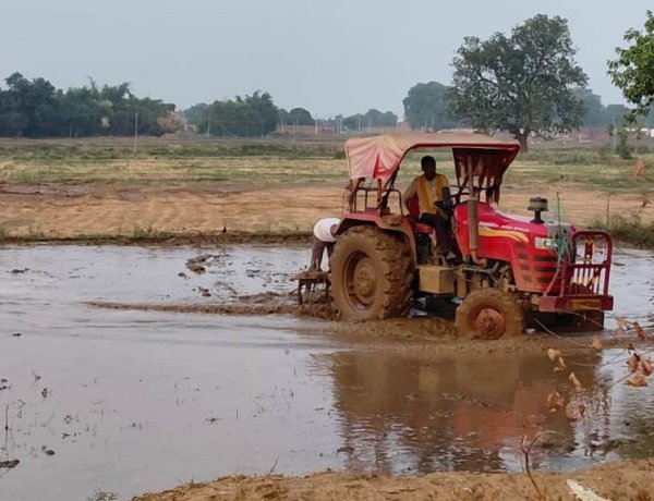 मानसून की दस्तक के साथ धान की नर्सरी की तैयारी में जुटे किसान