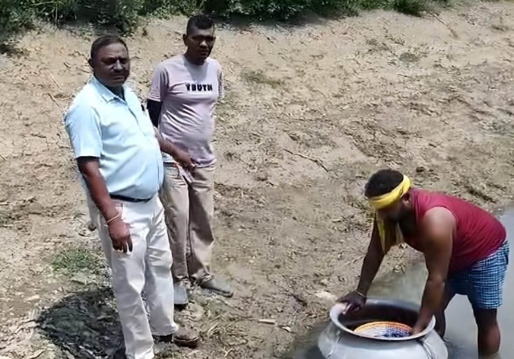 नीलगाय बनी किसानों की नई सहयोगी, मल से बढ़ेगा मछली उत्पादन