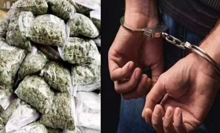 यूपी-बिहार सीमा पर गांजा तस्करी की खेप पकड़ी गई, पुलिस के जाल में फंसा तस्कर