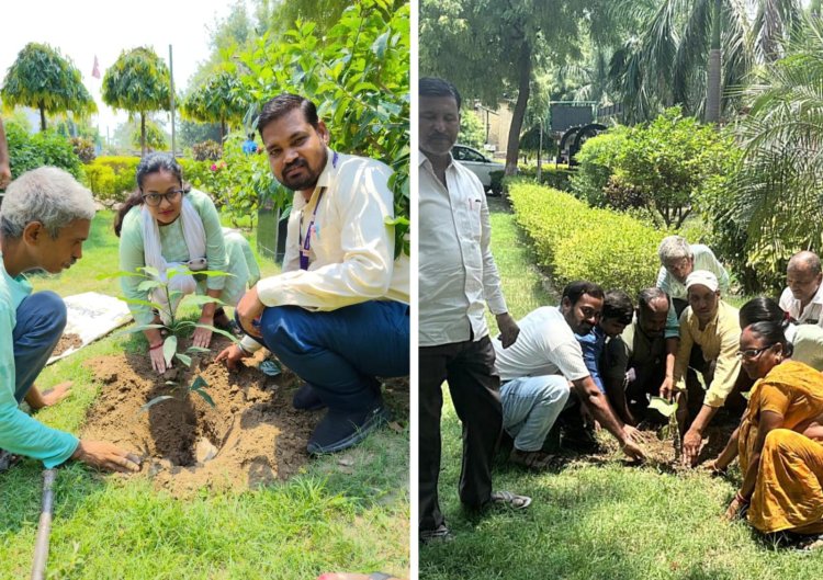 विश्व पर्यावरण दिवस पर सीताराम उपाध्याय संग्रहालय में पौधरोपण, हरित भविष्य का लिया संकल्प