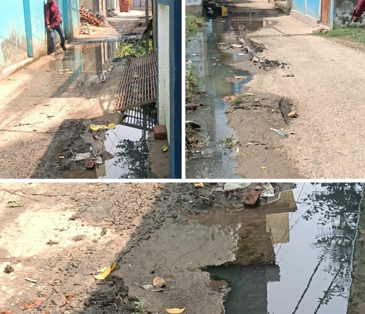 दस साल से नारकीय जीवन जीने को मजबूर हरि जी का हाता, शिकायतों के बाद भी नहीं बदली तस्वीर