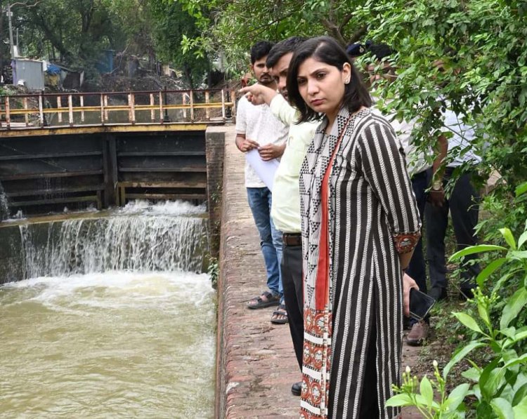 नहरों में पर्याप्त जलापूर्ति सुनिश्चित करने के निर्देश, डीएम ने किया स्थल निरीक्षण
